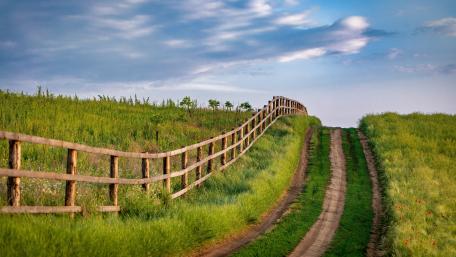 Peaceful Meadow Pathway Across Rolling Hills wallpaper