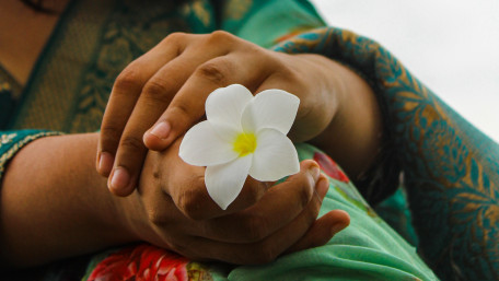Gentle Frangipani in Caring Hands wallpaper