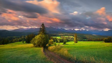 Golden Meadow Under Dramatic Mountains wallpaper