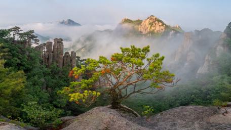 Misty Peaks of Dobongsan in Seoul wallpaper