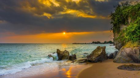 Golden Tropical Sunset by the Shore wallpaper