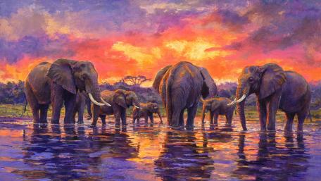Resting Elephants at Sunset wallpaper