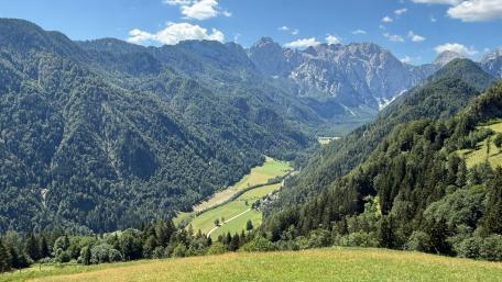Alpine Serenity in Logarska Dolina wallpaper