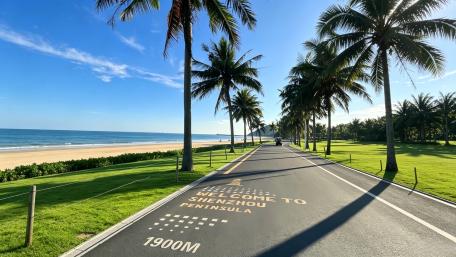 Palm Road to Shenzhou Beach wallpaper