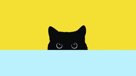 Peekaboo Black Cat Surprise wallpaper