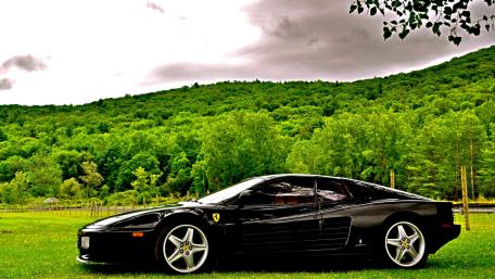 Midnight Ferrari Black GT on Emerald Meadow wallpaper