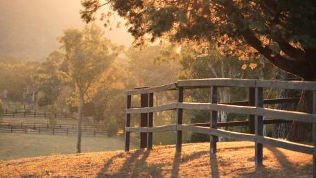 Golden Hour Countryside Fence wallpaper