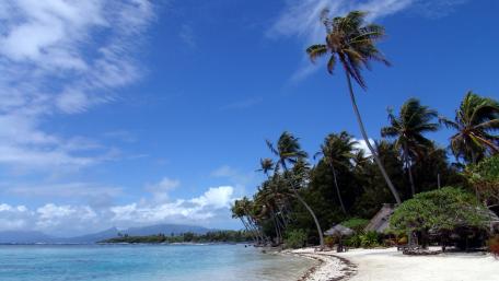 Tropical Paradise Beach Escape wallpaper