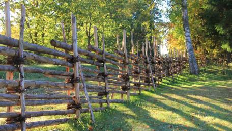 Rustic Log Fence in Sunlit Forest wallpaper