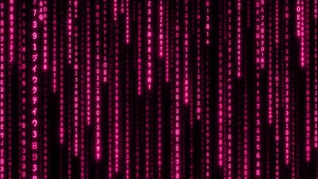 Neon Pink Digital Rain wallpaper