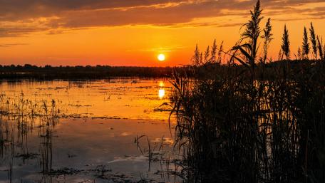 Marsh Sunset wallpaper