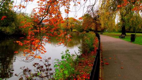 Autumn Lakeshore Walkway wallpaper