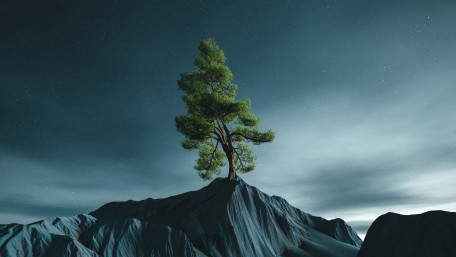 Solitary Tree Above the Midnight Peaks wallpaper