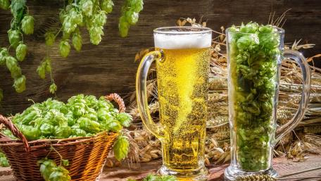 Fresh Beer and Hops Still Life wallpaper
