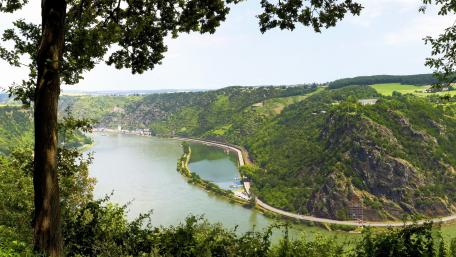 Rhine Valley Panorama from Loreley wallpaper