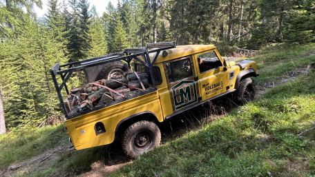 Mountain Workhorse in Alpine Forest wallpaper