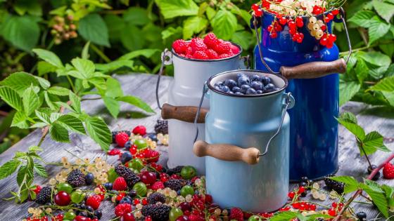 Fresh fruits wallpaper