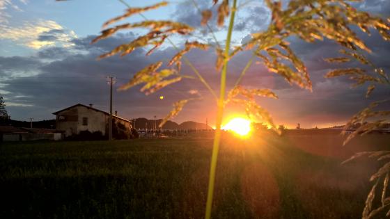 Serene Sunset Over Brescia's Fields wallpaper