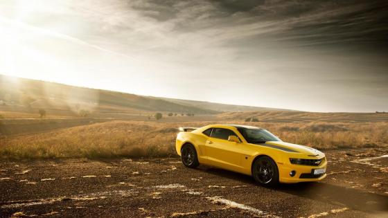 Golden Horizon Chevrolet Camaro 4K Wallpaper wallpaper
