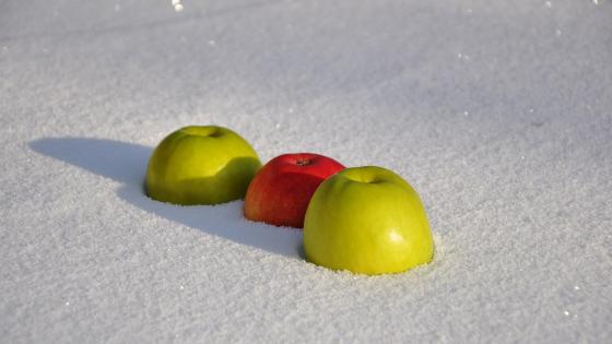 Apples in Winter Wonderland wallpaper