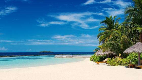 Endless Summer Bliss by the Seashore wallpaper