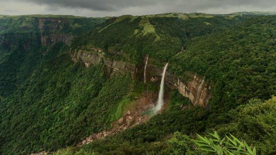 Nohkalikai Falls Amidst Lush Greenery wallpaper