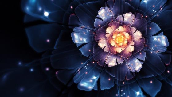 Luminous Floral Core in Midnight Blue wallpaper