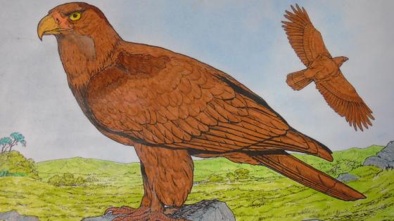 Wallpaper from animals category