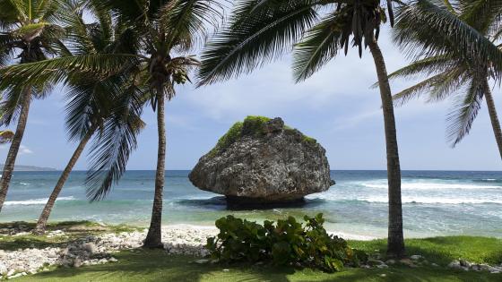 Mushroom rock - Bathsheba Beach, Barbados wallpaper