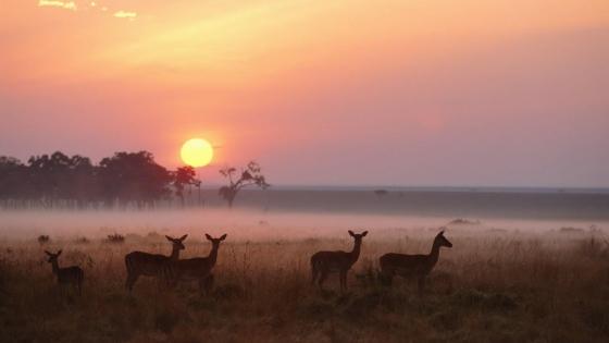 Sunrise over Maasai Mara National Reserve, Kenya wallpaper