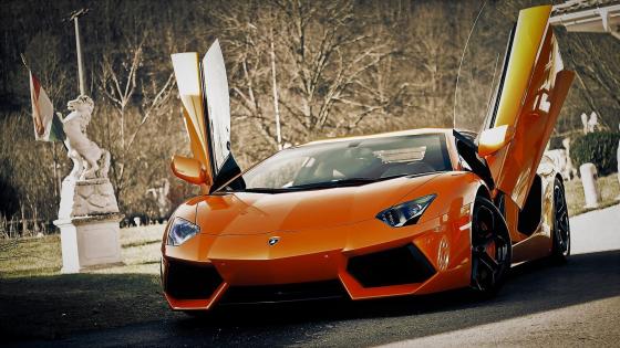 Lamborghini wallpapers - backiee