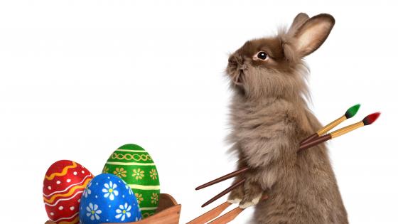 Easter Bunny with Painted Eggs wallpaper