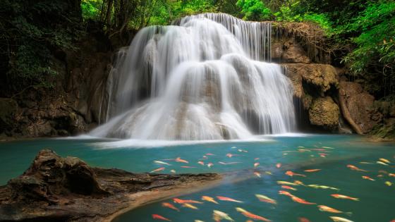 Huay Maekamin Waterfall wallpaper