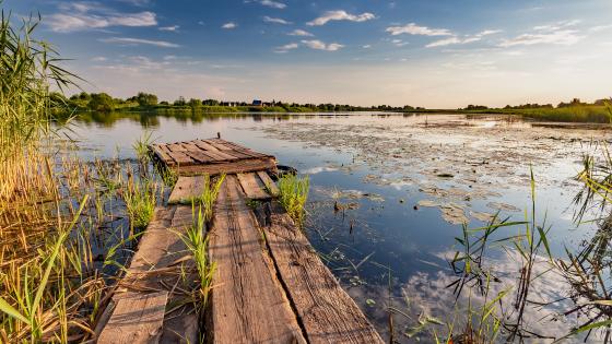 Pronya River (Pronsk, Russia) wallpaper