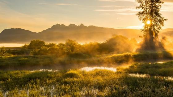 Jerry Sulina Park wallpaper