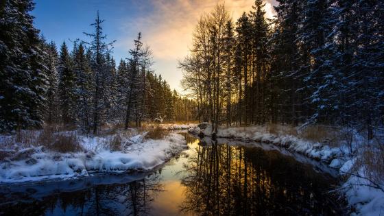 Winter afternoon landscape wallpaper