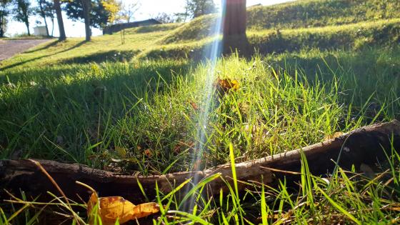 Bulgarian Nature wallpaper