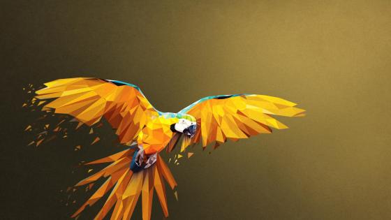 Macaw Low Poly Digital Art wallpaper