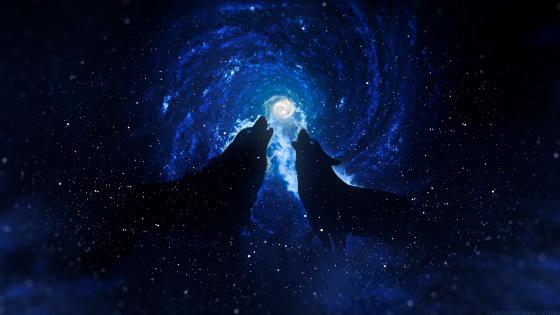 Midnight wolf howling wallpaper