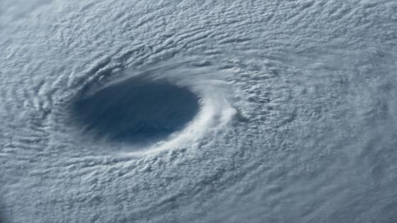 Typhoon Maysak wallpaper