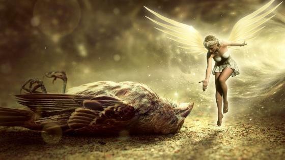 Fairy and a sparrow wallpaper
