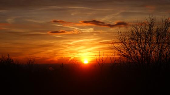 Sunrise in the spring wallpaper