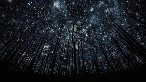 Starry sky low angle view wallpaper