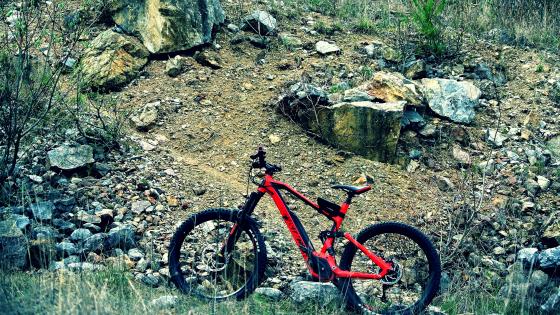 Rugged Mountain Bike Adventure wallpaper