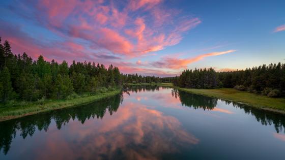 Reflected pink clouds wallpaper