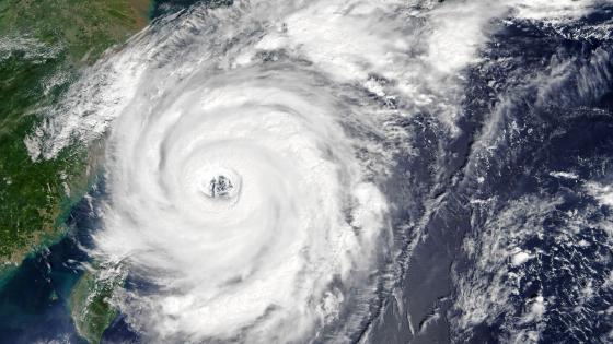 Typhoon Talim wallpaper