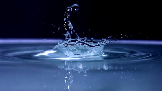 water - fast shot - backiee