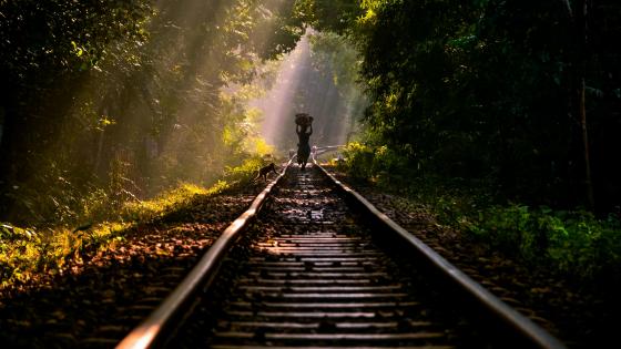 Train Tracks in Lawachara National Park, Bangladesh wallpaper