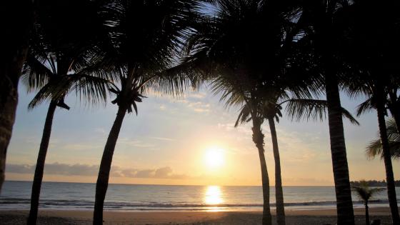 Dominican Sunrise Serenity wallpaper