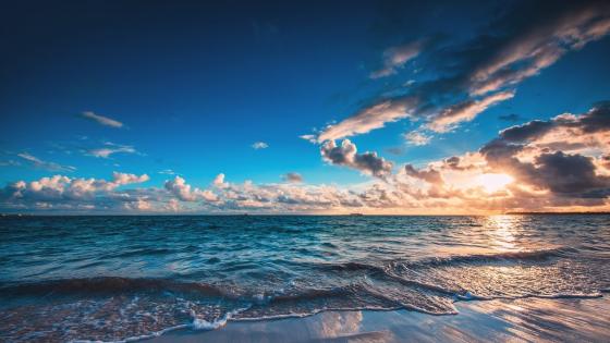 Serenity at Sea's Edge wallpaper